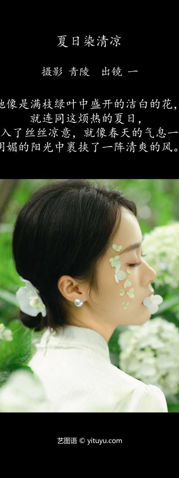 夏日染清凉 一