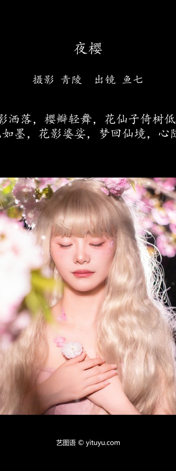 夜樱 鱼七