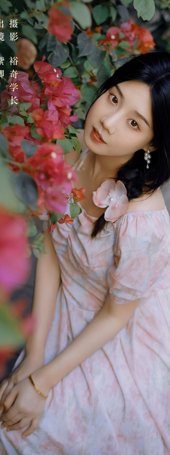 春语姑娘 紫卿