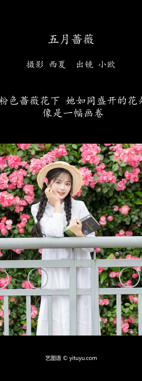 五月蔷薇 小欧O