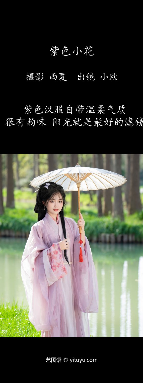 紫色小花 小欧O