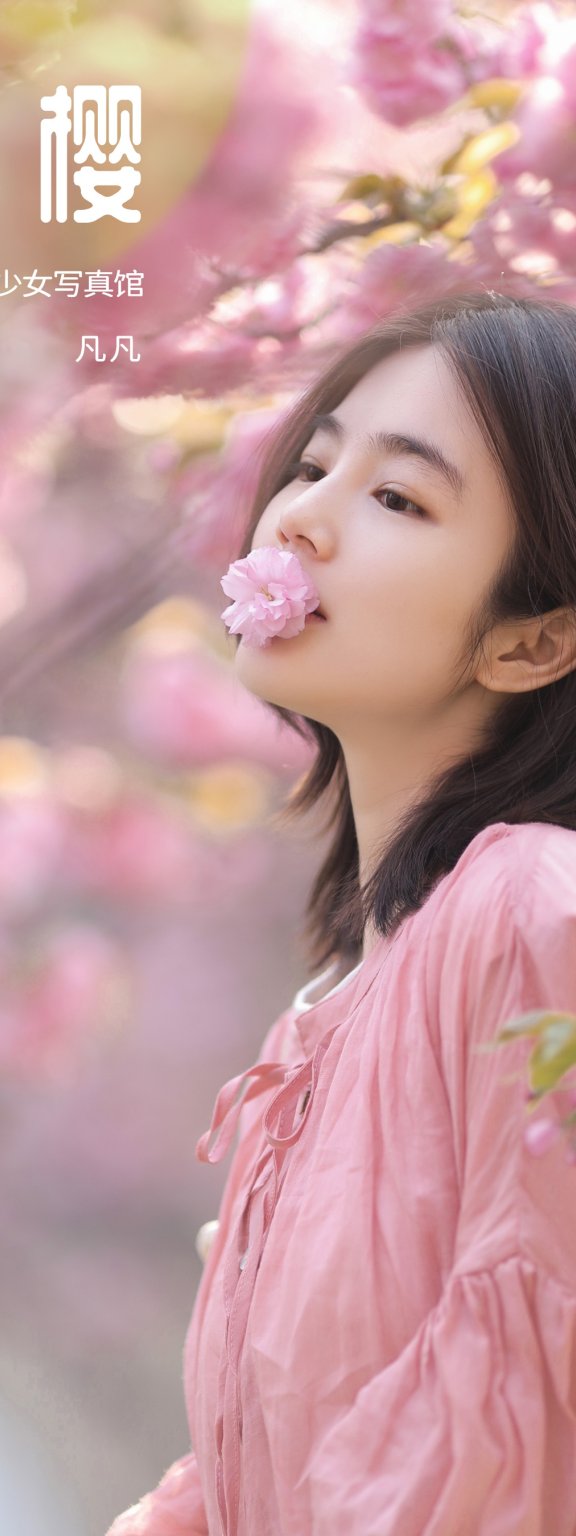 晚樱 凡凡