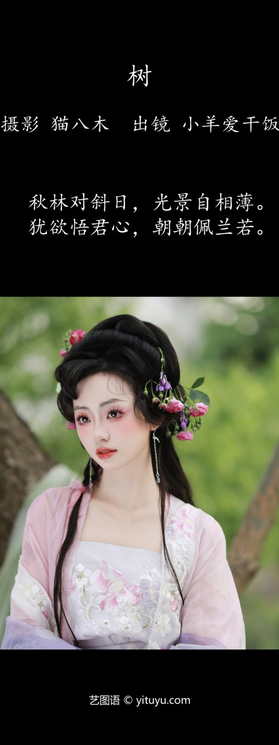 树 小羊爱干饭