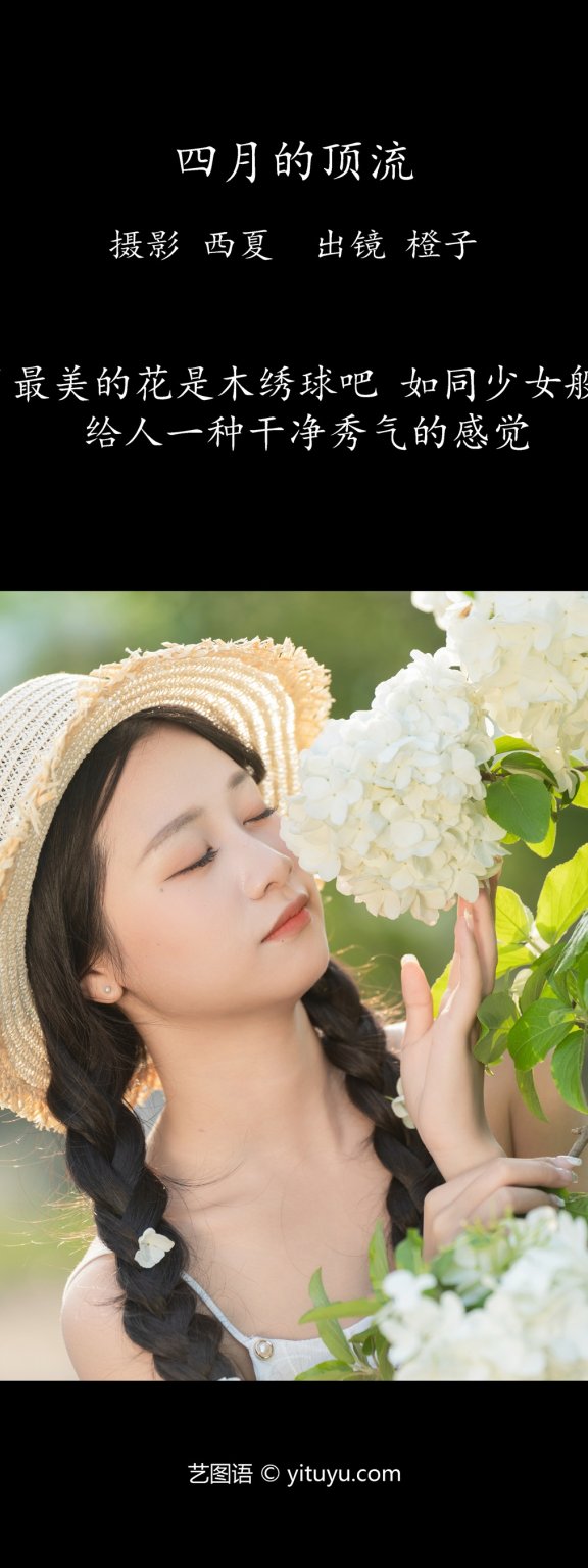四月的顶流 橙子舒
