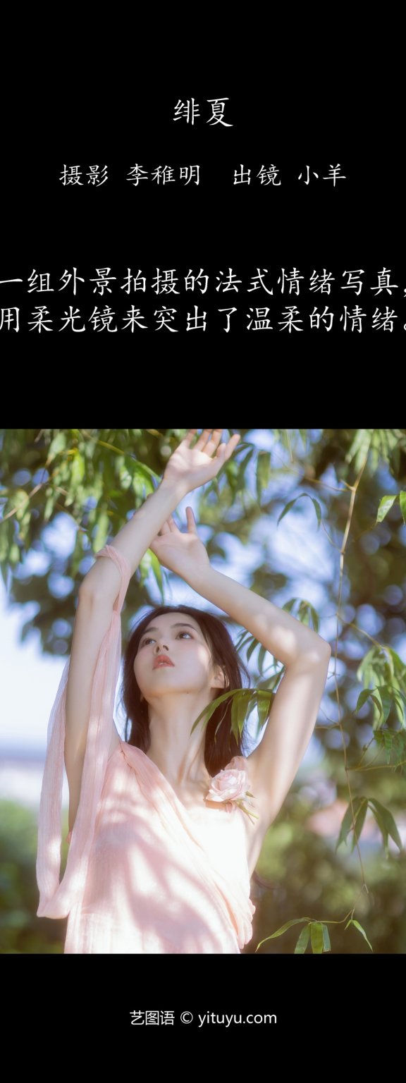 绯夏 小羊