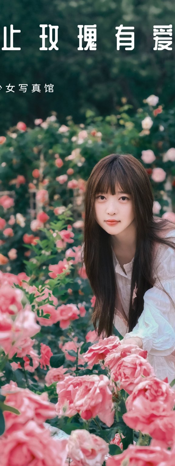 不止玫瑰有爱意 Sweet_t田甜