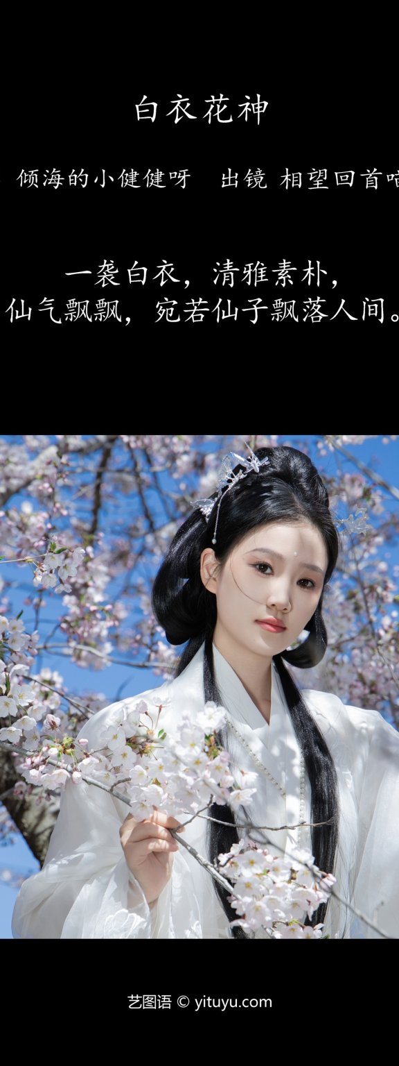 白衣花神 相望回首喵喵喵