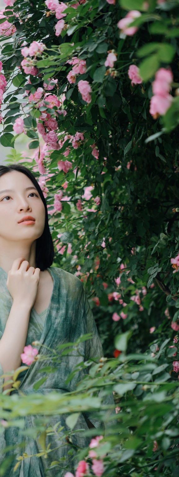 记忆是无花的蔷薇 苗苗