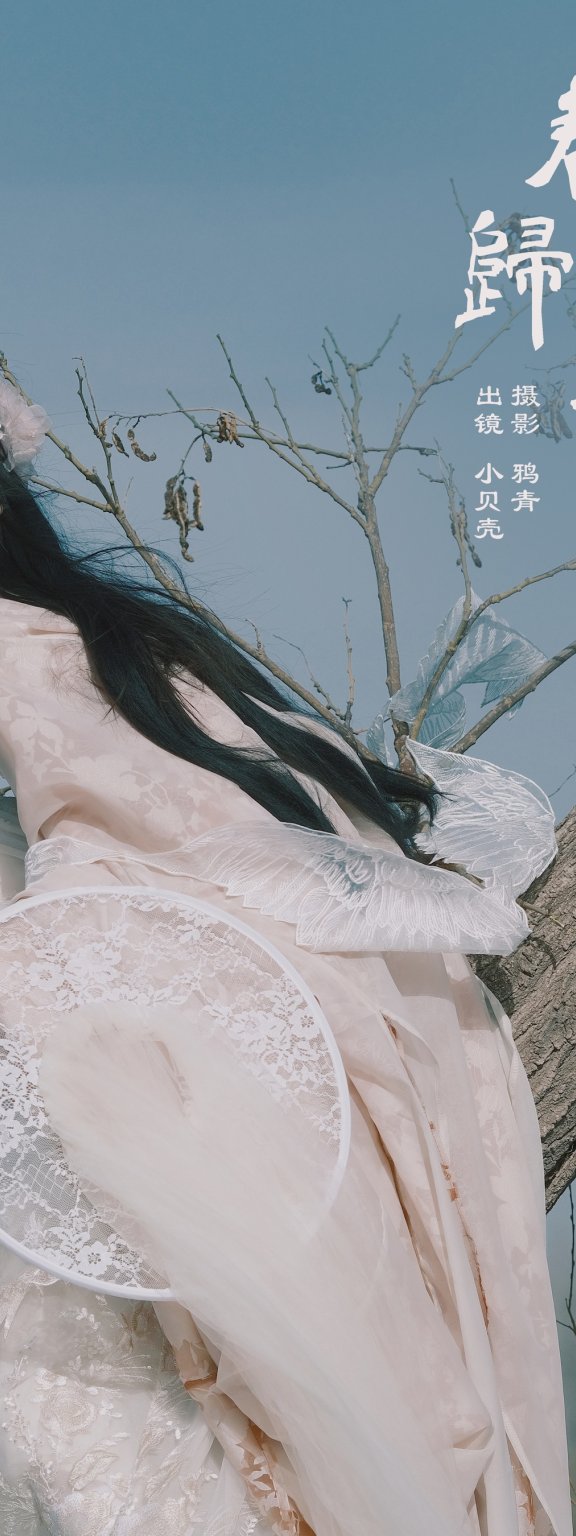 春归候鸟 小贝壳请不要放弃