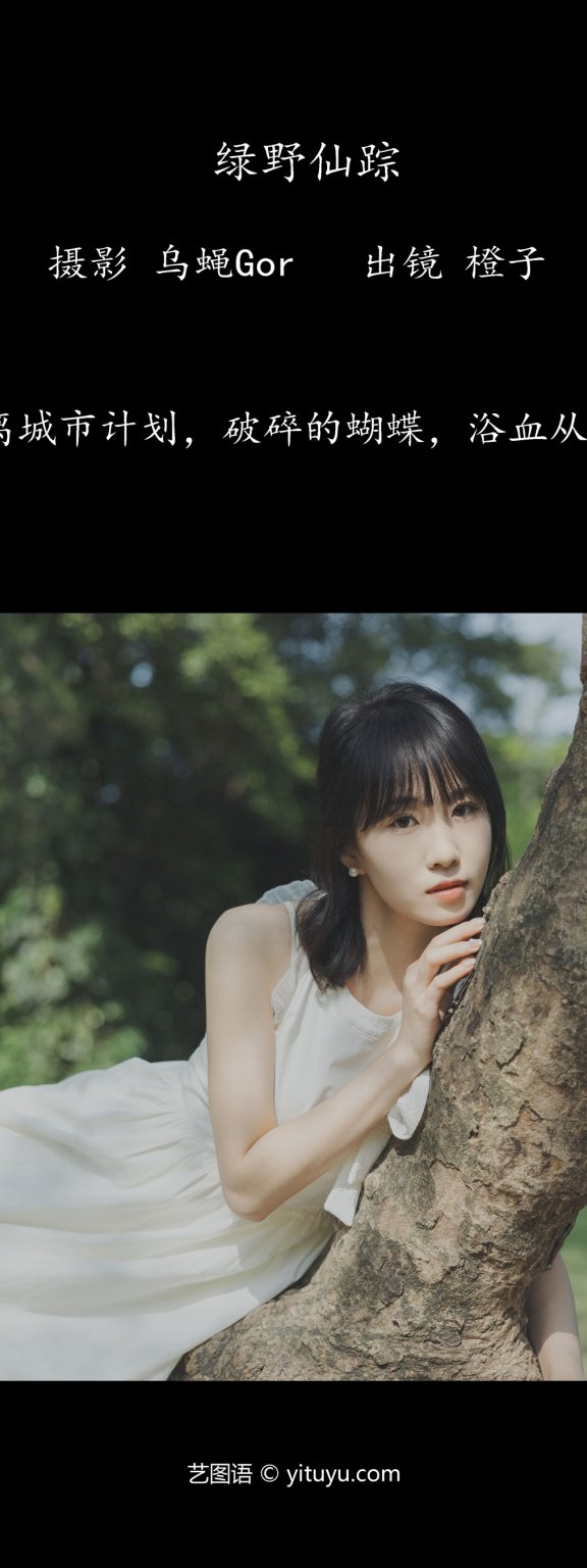 绿野仙踪 橙子