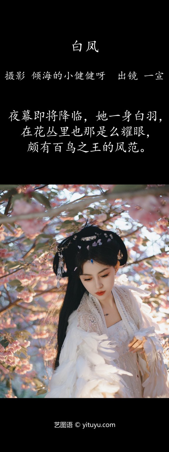 白凤 壹萱-