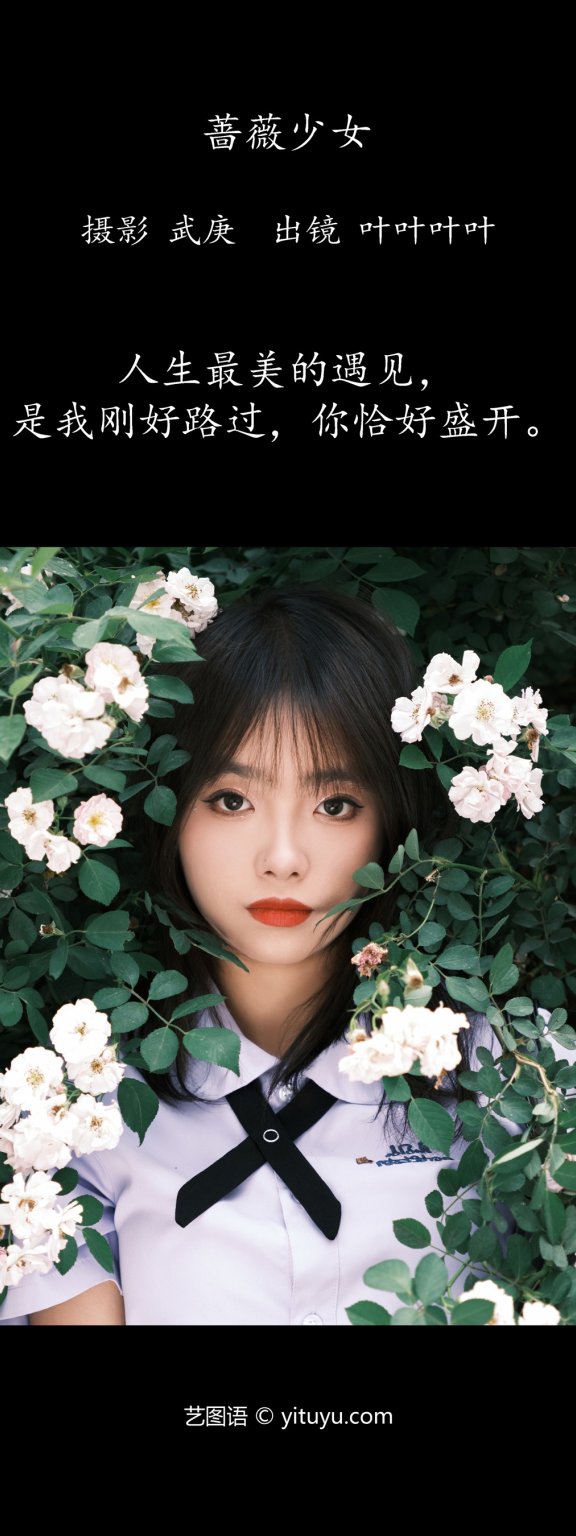 蔷薇少女 叶耶耶耶耶