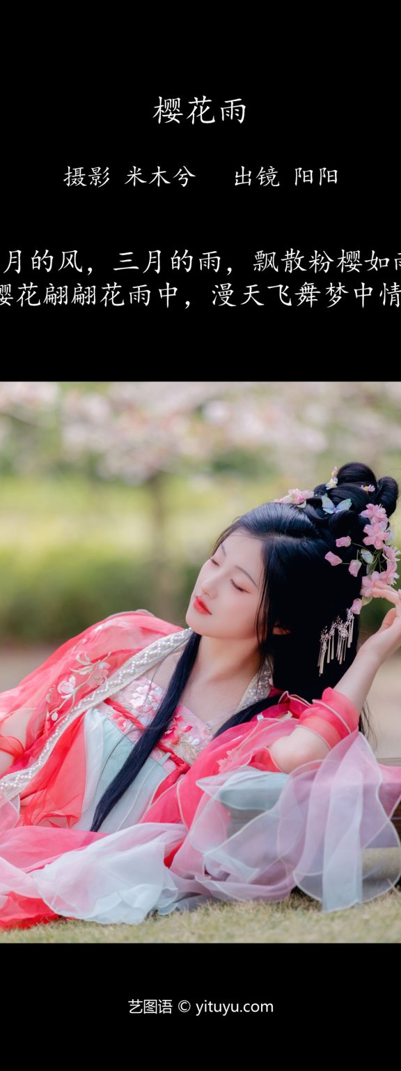 樱花雨 阳阳