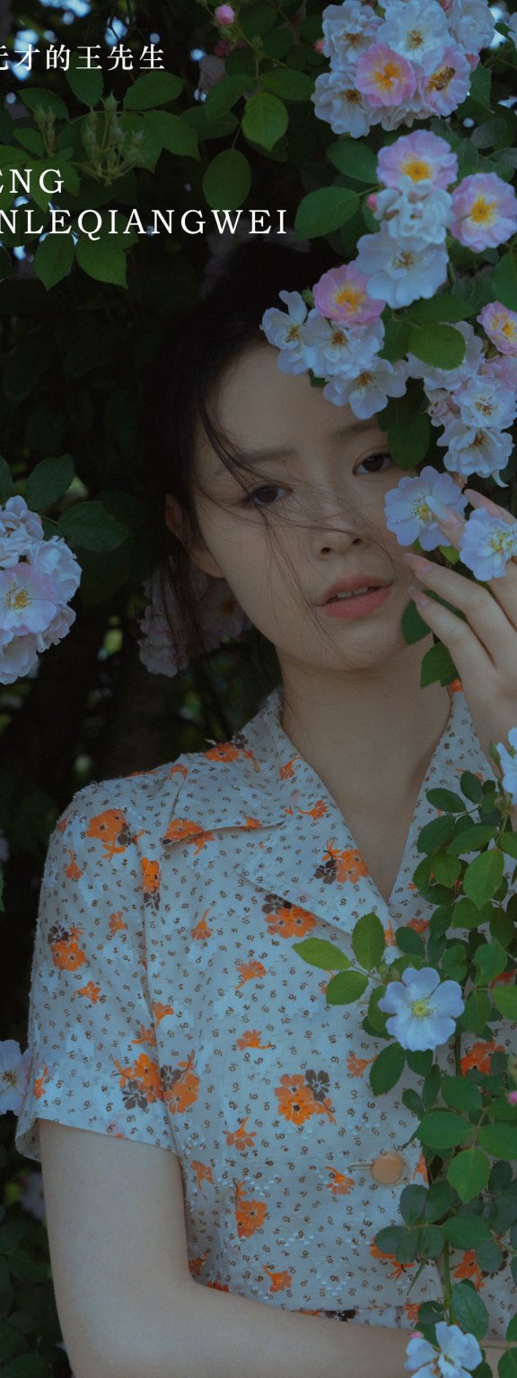 春风吹散了蔷薇 77