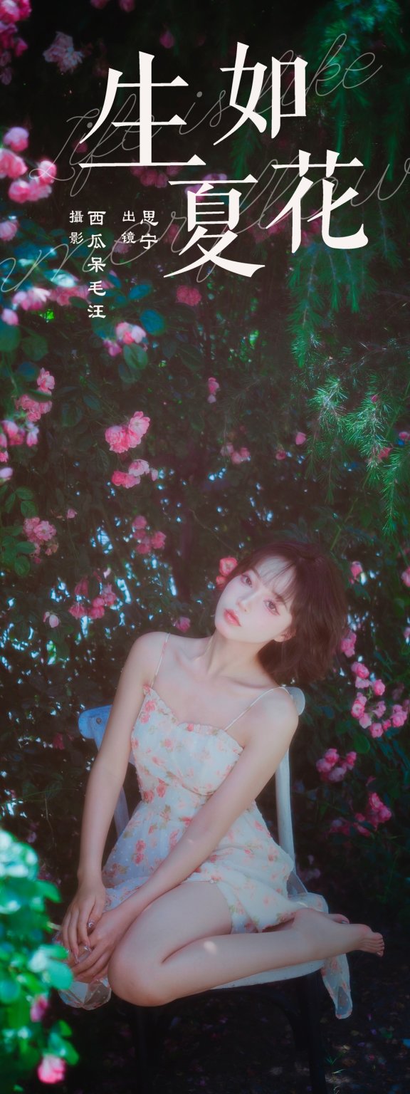 生如夏花 Disexi思宁