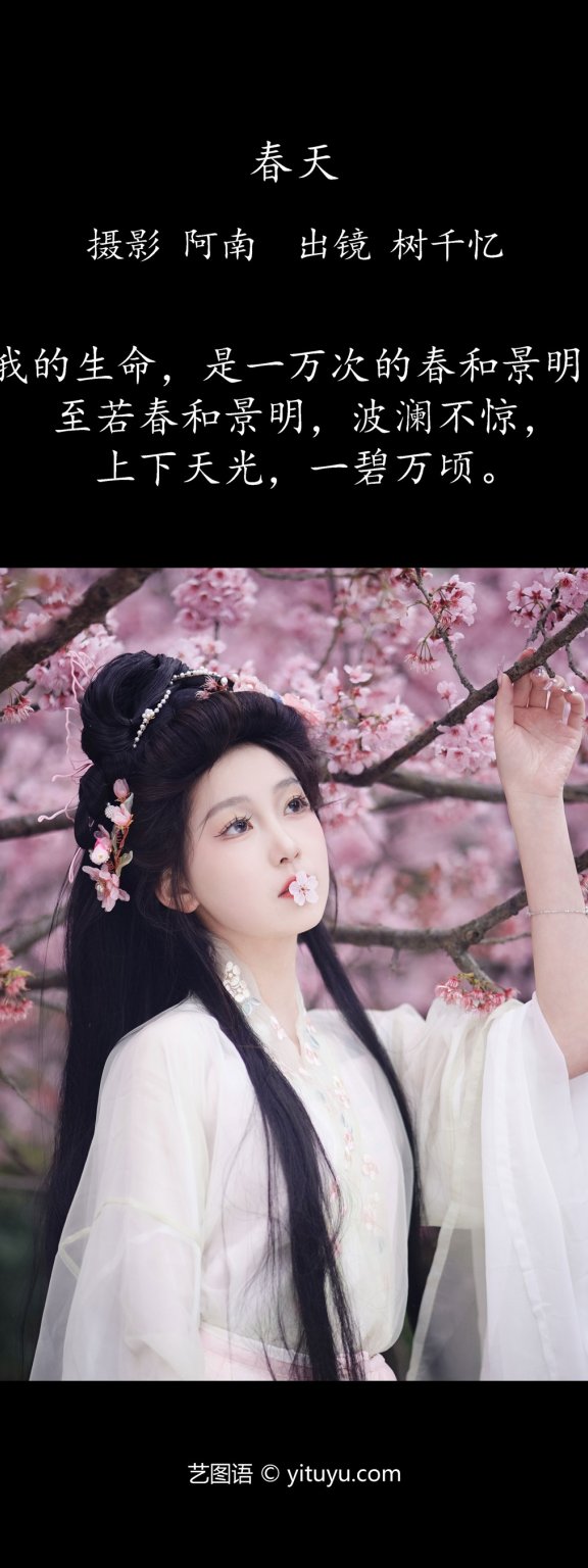 春天 树芊忆