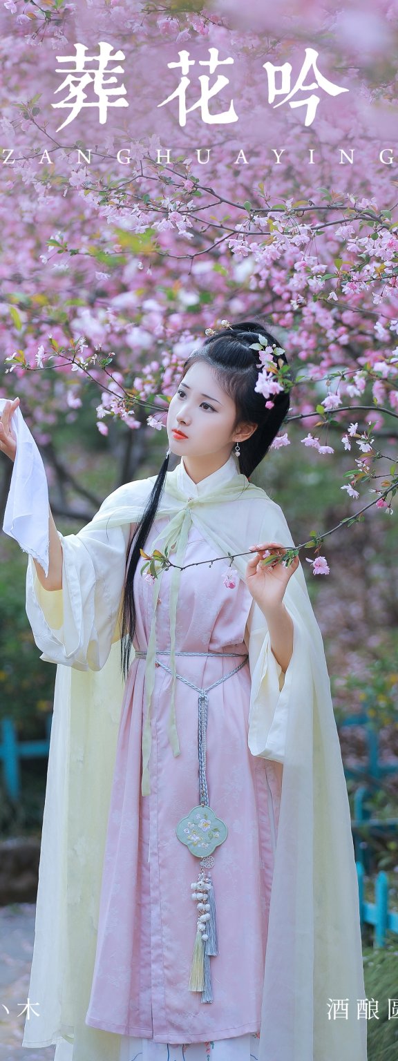 葬花吟 酒酿圆子