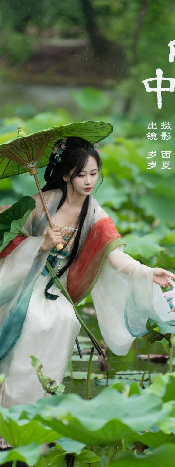 雨中荷花 湫一只岁岁