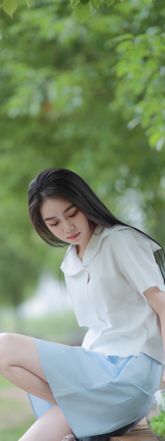 树荫下的清爽夏日 我不刷鸟