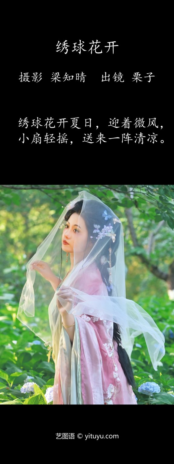 绣球花开 一只偷懒的栗栗