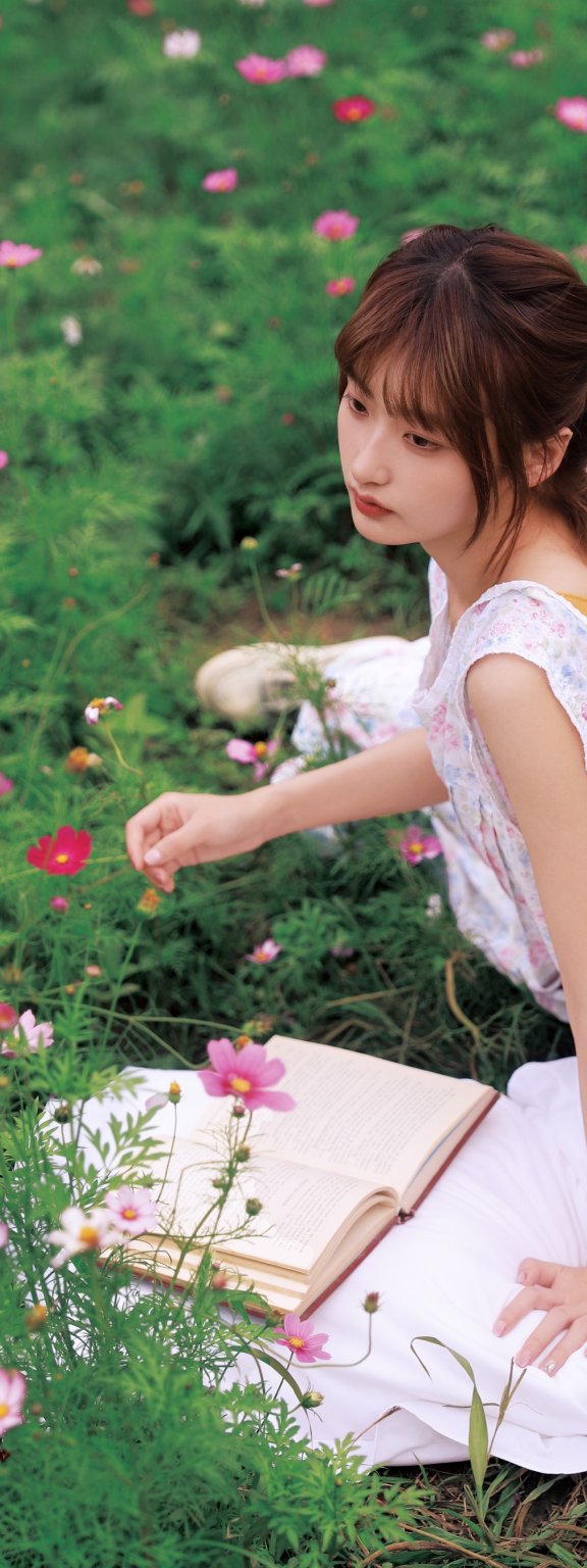 格桑花女孩 陈年小九