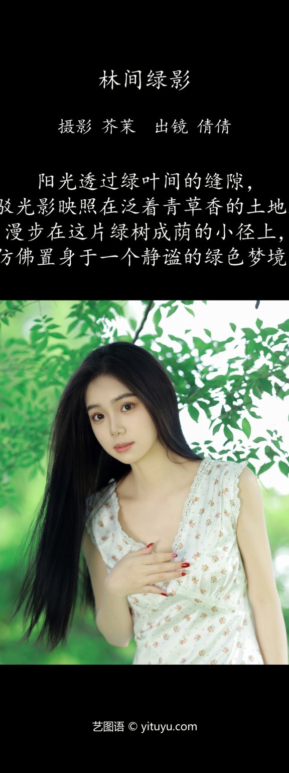 林间绿影 我不刷鸟