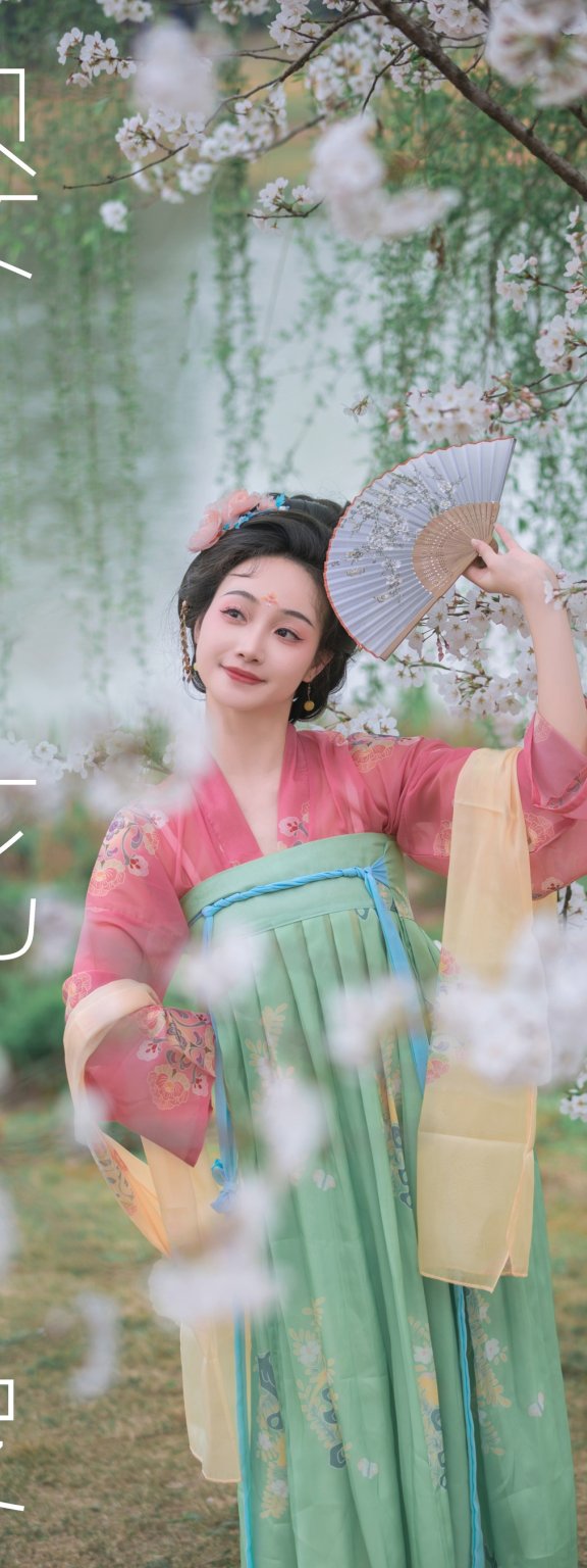 樱花漫 凌子兮
