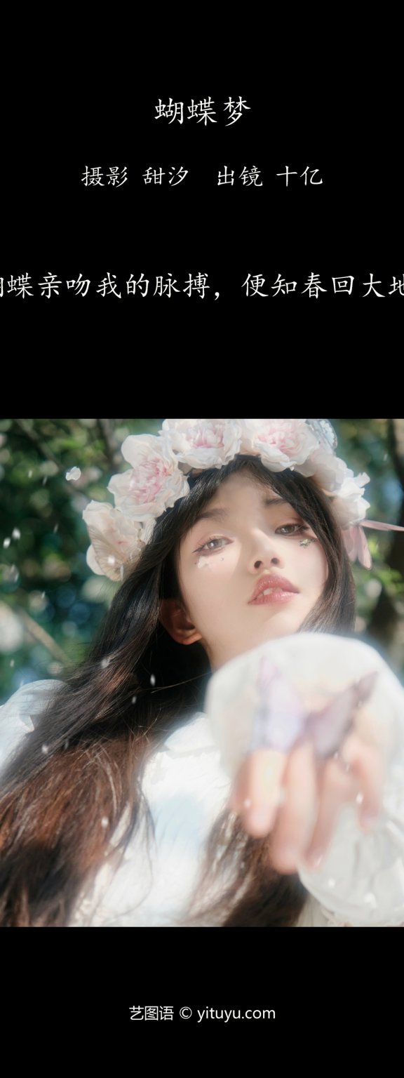 蝴蝶梦 十亿