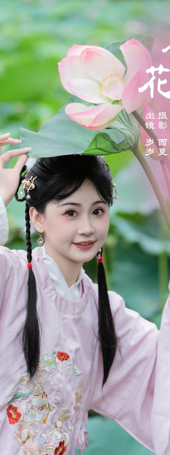 荷花的夏天 湫一只岁岁