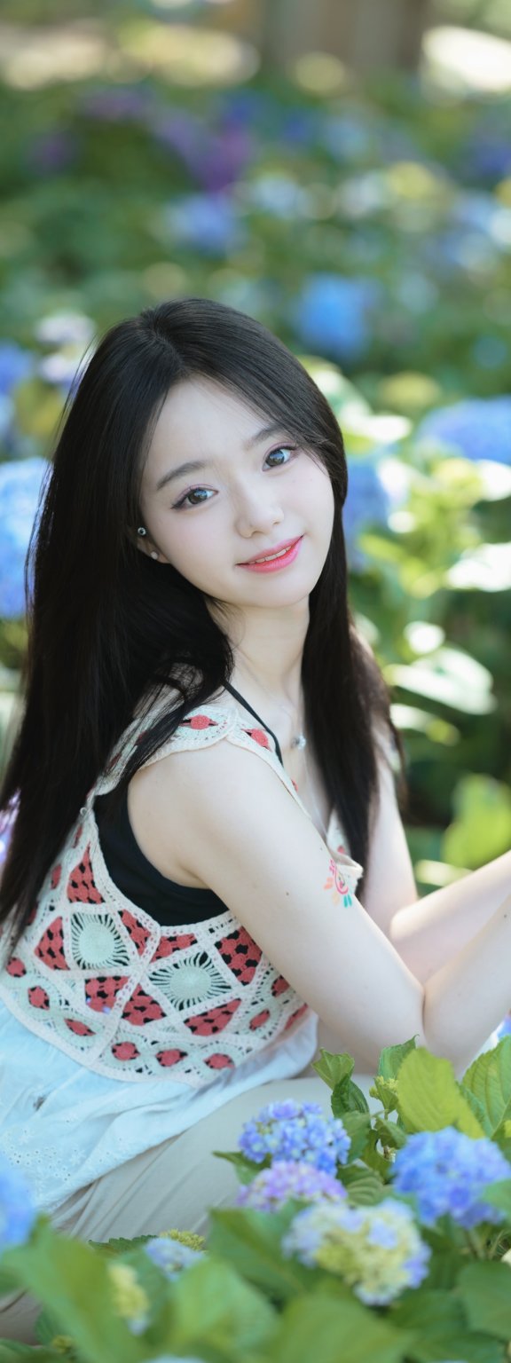 夏日绣球 十元