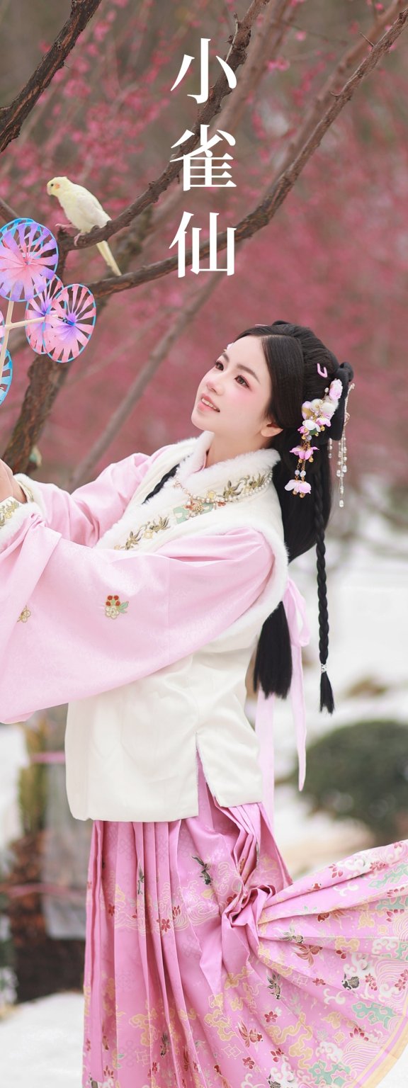 小雀仙 小杜同学