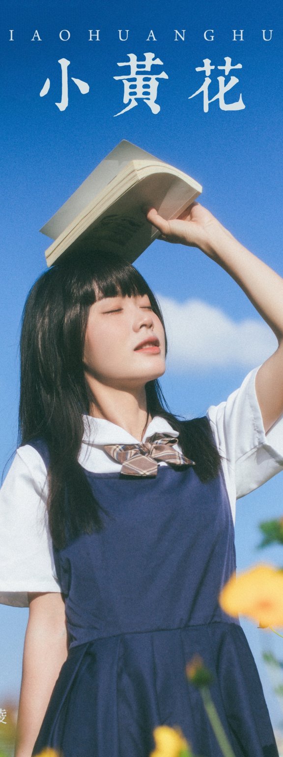 小黄花 一