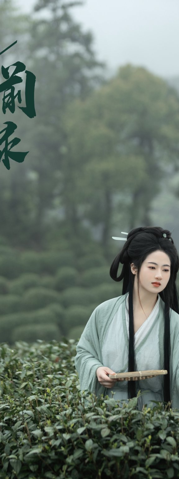 明前绿 慕夏