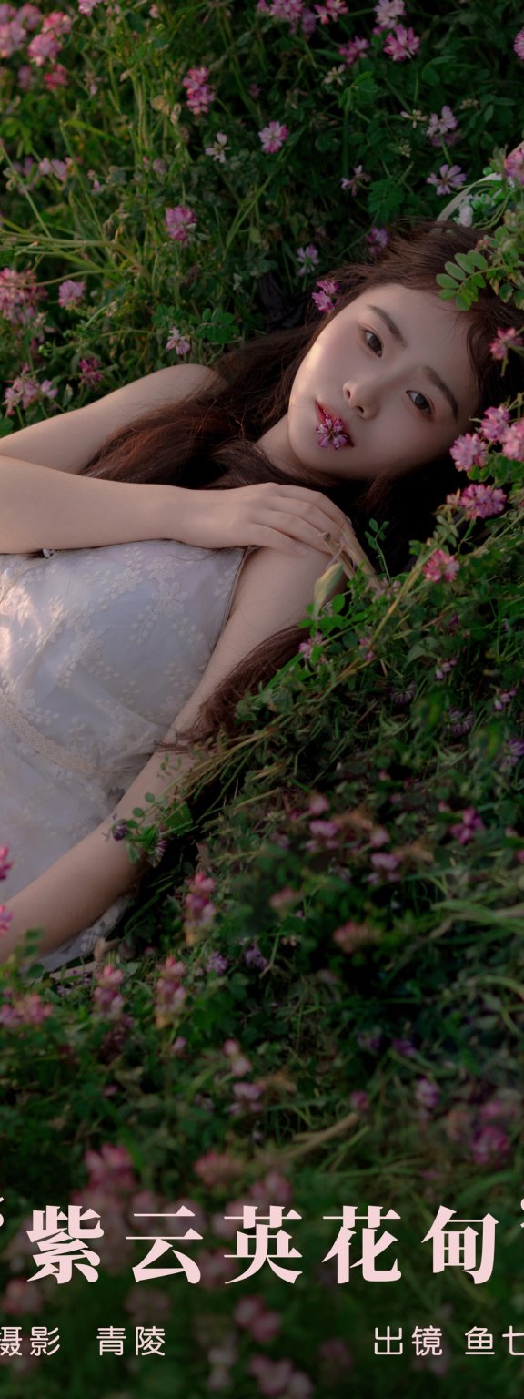 紫云英花甸 鱼七