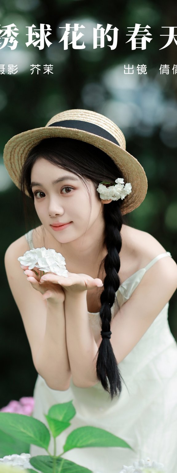 绣球花的春天 我不刷鸟