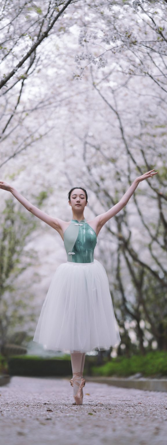 樱花芭蕾 小熊