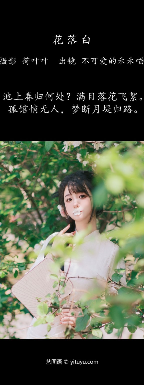 花落白 不可爱的禾禾喵