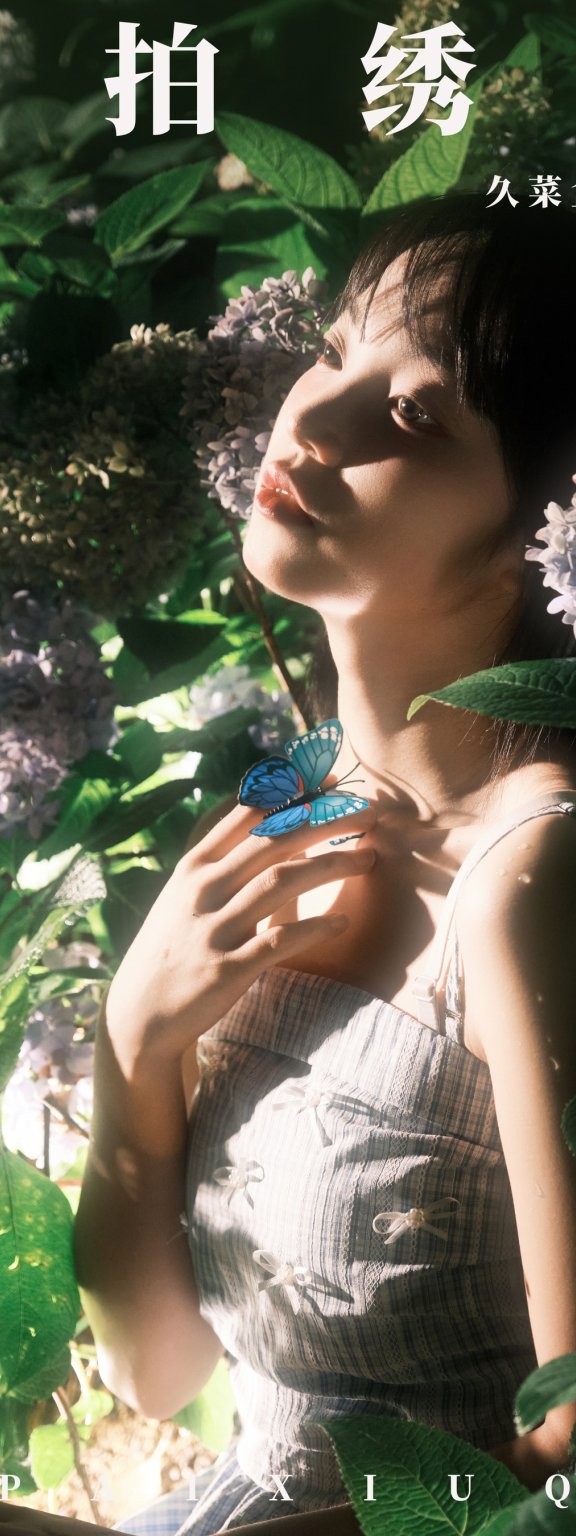 夜拍绣球 久菜盒子