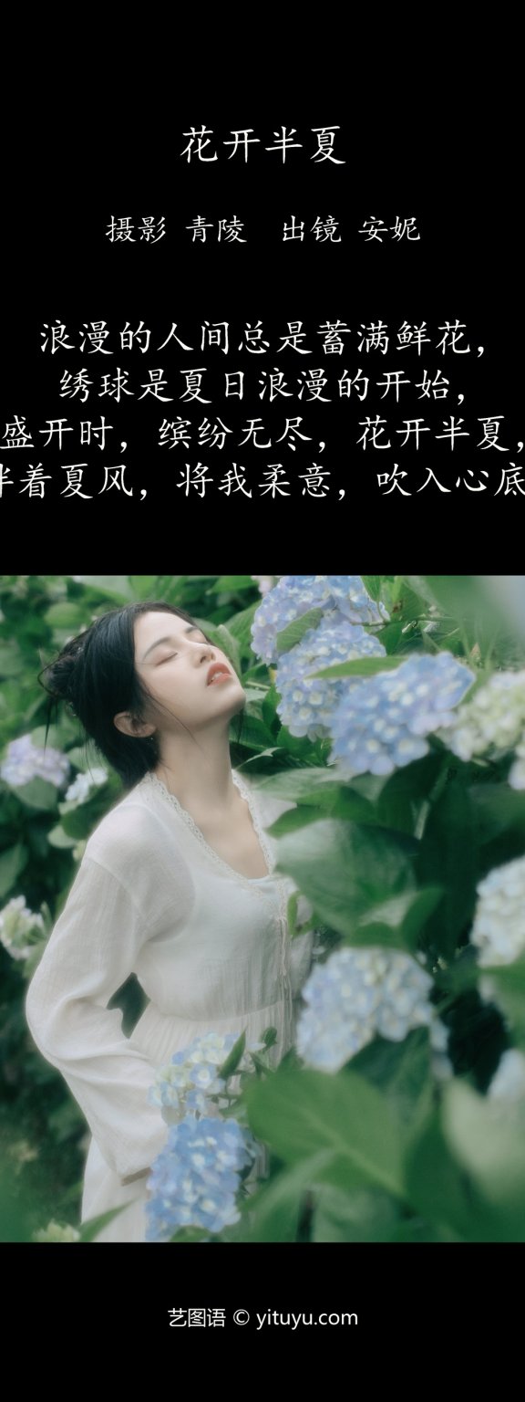花开半夏 安妮