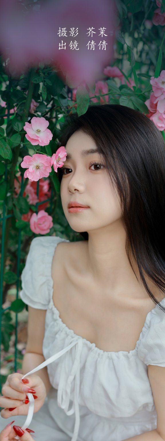 花墙 我不刷鸟