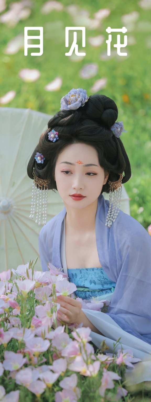 月见花 凌子兮