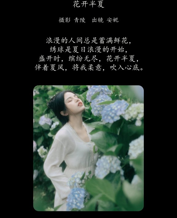 花开半夏 安妮
