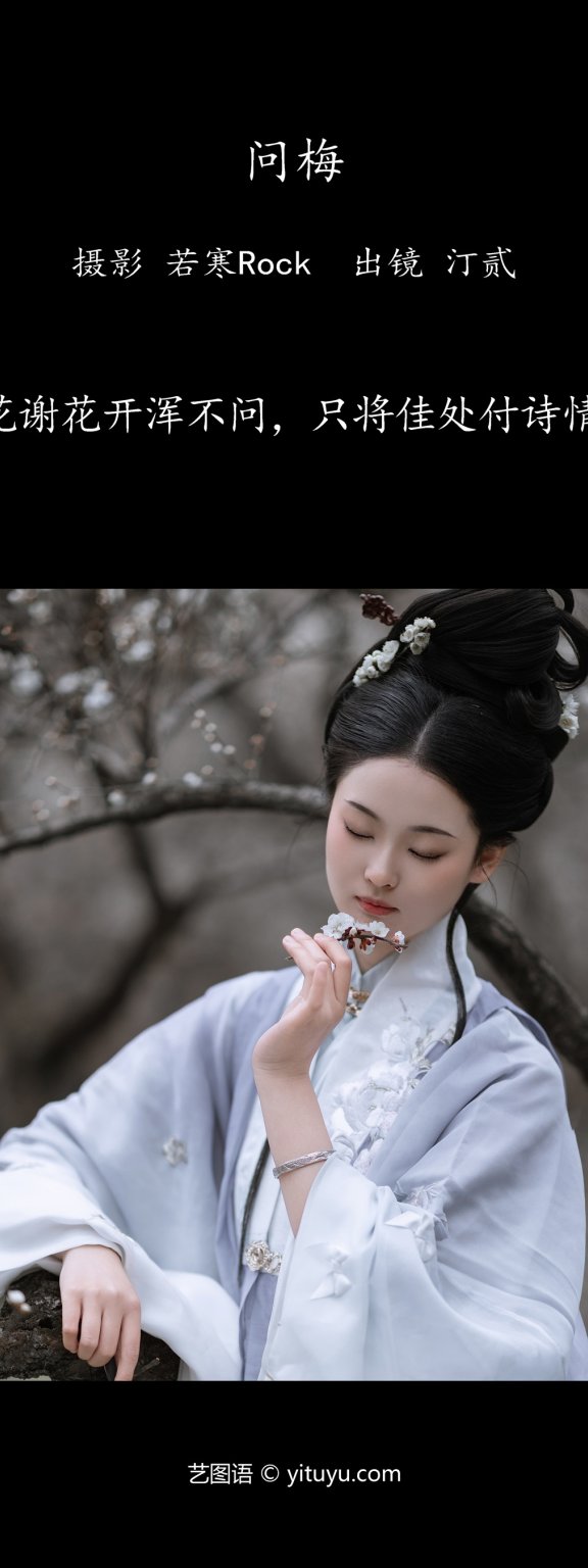 问梅 汀贰