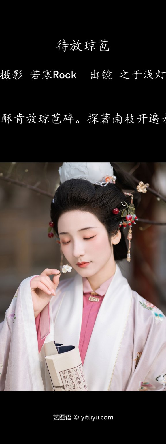 待放琼苞 之于浅灯