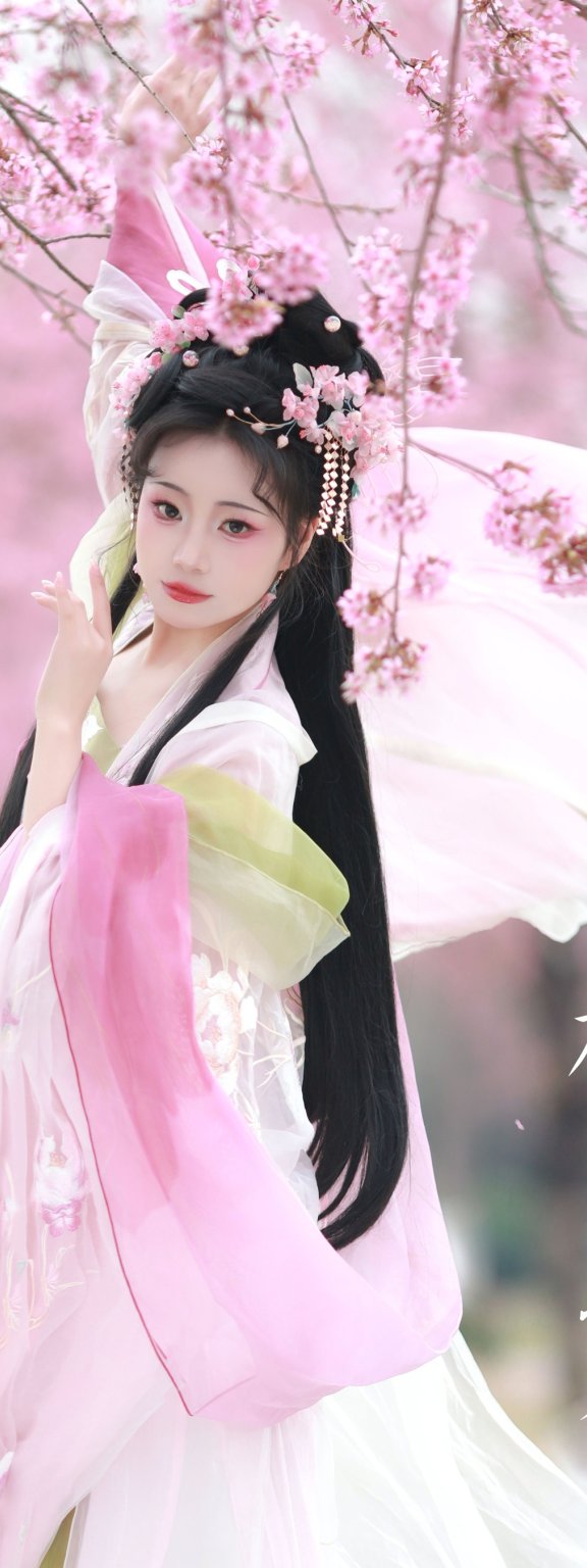 樱之梦 千玥