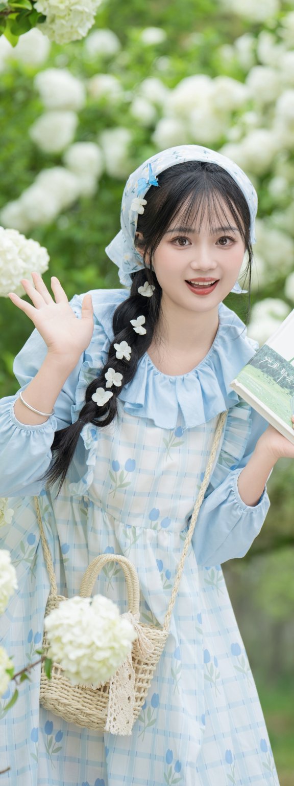 春天的一抹白 小欧O