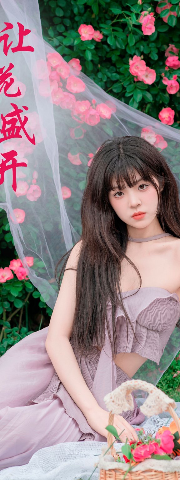 让花盛开 赛的过西莉吗