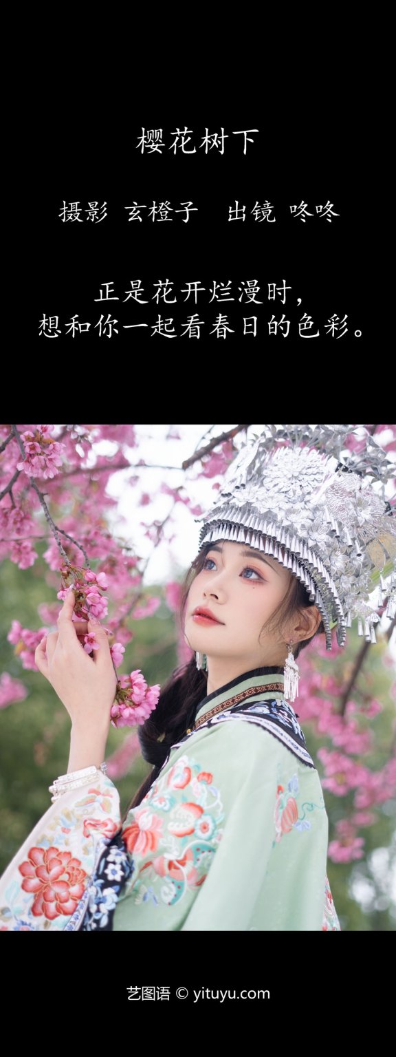 樱花树下 言子是咚咚呀