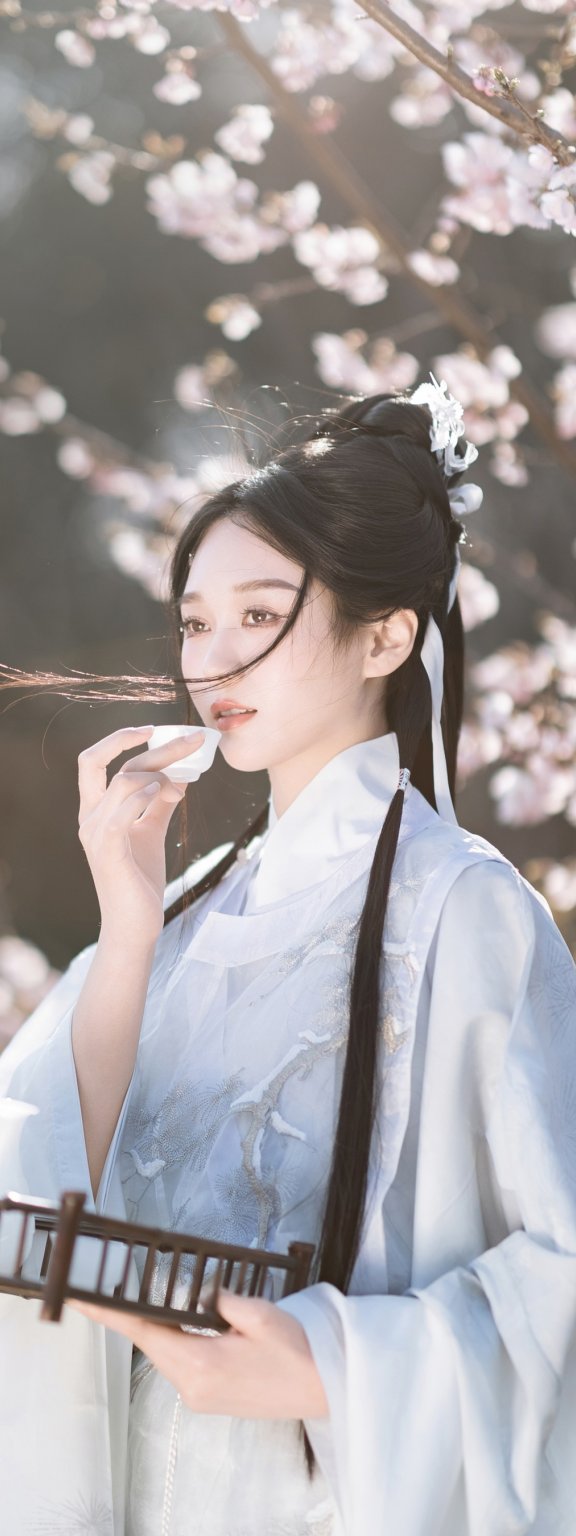 花间酒 郑钰熙