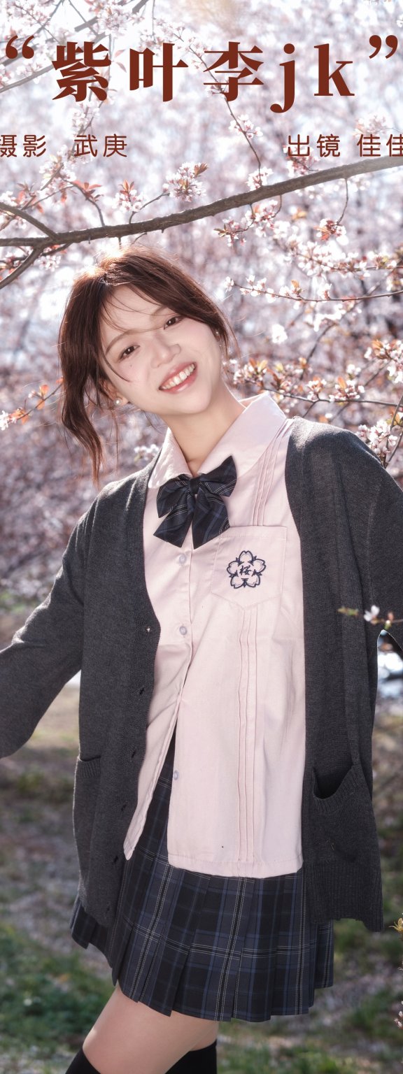 紫叶李jk 佳佳